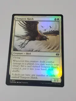 Tempest Hawk Tarkir: Dragonstorm Foil Bird - Image 1