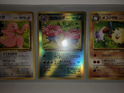 Pokemon Japanese Southern Islands Tropical Island Jungle - New / SEALED - Image 4
