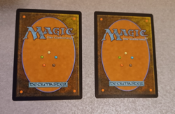 MTG - Sigarda's Aid - Eldritch Moon - Near Mint - Image 2