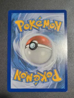 Charizard V SWSH260 SWSH: Sword & Shield Promo Cards Holo - Image 3
