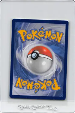 Squirtle 29/149 - NON-HOLO - COMMON - Boundaries Crossed - POKEMON CARD - LP - Image 2