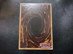 Amazoness Paladin LCJW-EN087 Super Rare 1st Edition Yugioh Card LP - Image 4