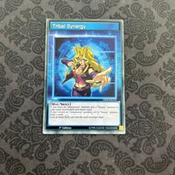 Yugioh Singles - Tribal Synergy - Common - SS02-ENCS3 - 1st Edition - Image 1