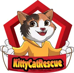 (303367) ESPEON PRIME 81/90 Ultra Rare Holo HGSS Undaunted Pokemon Card - NEW - Image 4