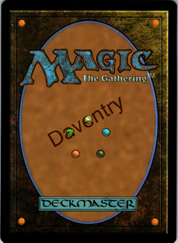 Restless Anchorage (347) (Borderless) The Lost Caverns of Ixalan Regular - Image 2