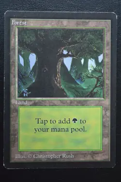 Magic The Gathering MTG FOREST (C) Limited Edition Beta LP Lightly Played - Image 1