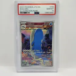 Pokemon Journey Together Wailord 162/159 PSA 10 Gem Mint Illustration Rare - Image 1