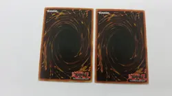 2x AMAZONESS FIGHTER MONSTER MFC-060 1ST EDITION COMMON YUGIOH NM - Image 2