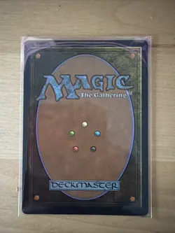 Fierce Guardianship (Showcase) Avatar: The Last Airbender: Eternal-Legal Regular - Image 2