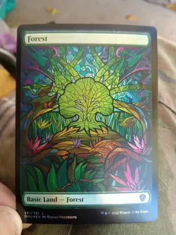 Forest (Showcase) Dominaria United 281 NM FOIL Nice Card - Image 1