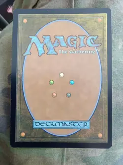 Forest (Showcase) Dominaria United 281 NM FOIL Nice Card - Image 2