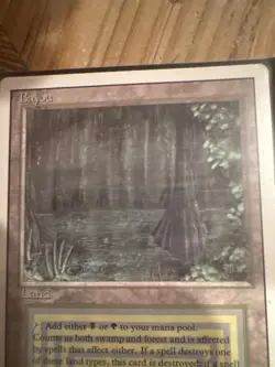 Bayou Revised Edition Regular - Image 2