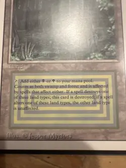 Bayou Revised Edition Regular - Image 3