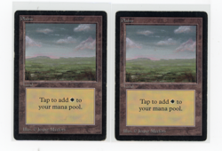 Magic The Gathering MTG Beta Edition Plains (A) 2 Card LOT HP (EG) - Image 1