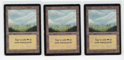 Magic The Gathering MTG Beta Edition Plains (B) 3 Card LOT HP (EG) - Image 1