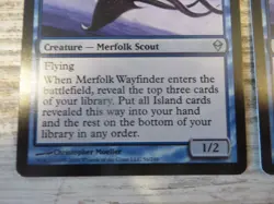 2x Merfolk Wayfinder - Zendikar - NM - 1x English 1x German - OOP MTG - Image 2