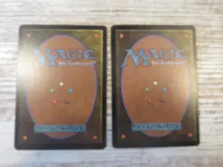 2x Merfolk Wayfinder - Zendikar - NM - 1x English 1x German - OOP MTG - Image 3