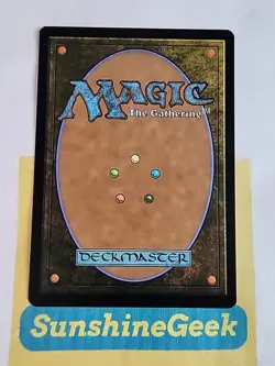 Northern Paladin Secret Lair Drop Regular - Image 2