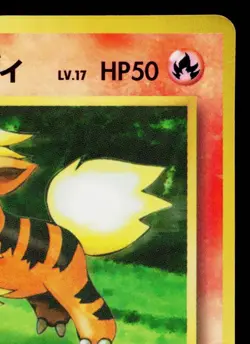 BLAINE'S GROWLITHE COROCORO GLOSSY PROMO JAPANESE POKEMON TCG - Image 3