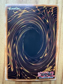 Red-Eyes Black Dragon MAGO-EN003 1st Edition MAXIMUM GOLD RARE Card Yu-Gi-Oh! - Image 2