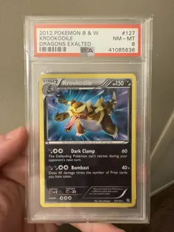 2012 Pokemon B&W KROOKODILE DRAGONS EXALTED #127 PSA NM-MT 8 - Image 1