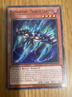 Raidraptor - Tribute Lanius Yu-Gi-Oh OP24-EN018 Common - Image 1