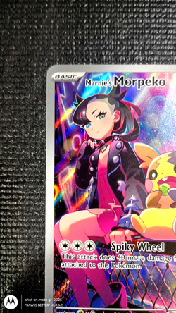 Marnie's Morpeko 206 SV Promo Illustration Rare MINT Pokemon TCG *MINT*QRSC* - Image 3