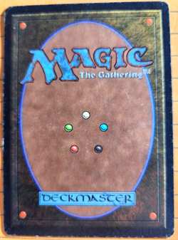 MTG - Naf's Asp (1) - Arabian Nights - Moderate Play - Image 2