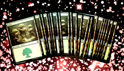 MTG N3 - 25 SAME ART FOIL DMU #274 SEB MCKINNON BASIC LAND FOREST SET LOT - Image 1
