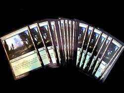 MTG K5 - 25 SAME ART FOIL BASIC LAND AFR #278 PIOTR DURA FOREST MATCHED SET LOT - Image 1