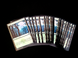 MTG K6 - 25 SAME ART FOIL BASIC LAND AFR #279 SARAH FINNIGAN FOREST MATCHED - Image 1