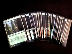 MTG K8 - 25 SAME ART FOIL BASIC LAND AFR #281 ADAM PAQUETTE FOREST MATCHED SET - Image 1