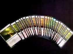 MTG M8 - NEW 25 FOIL SAME ART BASIC LAND SWAMP - AFR #272 BY TITUS LUNTER - Image 1