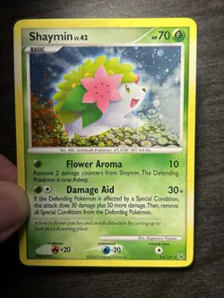 Pokemon Holo Lot - Mid-Era EX & Diamond Pearl Series - Vintage Holos NM-LP - Image 4