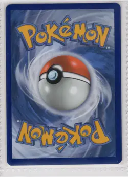 Light Toxtricity SWSH137 SWSH: Sword & Shield Promo Cards Holo - ACTUAL CARD - Image 2