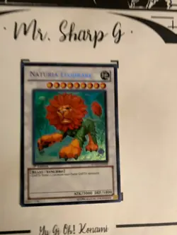 NATURIA LEODRAKE - 1st EDITION HA02-EN058 ENGLISH Yu-Gi-Oh! CARD SECRET RARE - Image 2