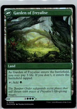 Disciple of Freyalise/Garden of Freyalise 0250 - MTG: Modern Horizons 3 Foil UC - Image 2