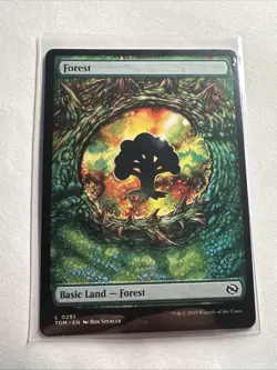 Forest (0291) Tarkir: Dragonstorm Regular - Image 1