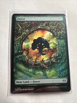 Forest (0291) Tarkir: Dragonstorm Regular - Image 2