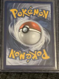 Light Toxtricity Holo Promo SWSH137 Pokemon TCG Black Star Promo Near Mint - Image 2