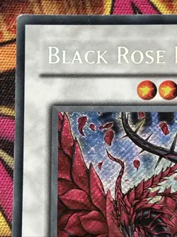 Black Rose Dragon CT05-EN003 LP Secret Rare Limited Edition Yu-Gi-Oh - Image 2