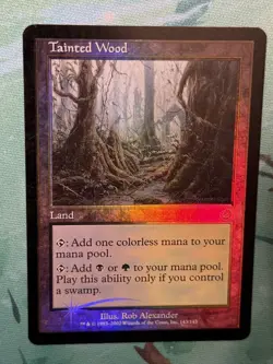 1x Tainted Wood - Foil - Torment - LP/MP MTG Magic - Image 2