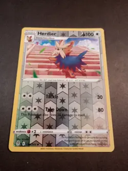 Pokemon Evolving Skies Herdier Reverse Holo Uncommon Card 134/203 NM - Image 1