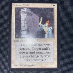 English - MTG Animate Wall - LP - Rare, Vintage - Limited Edition Beta (1993) - Image 1