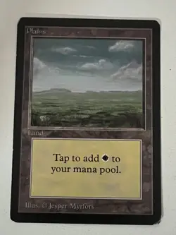 Magic the Gathering MTG Beta Plains v.3 (DARK) MP (Beta Bob) - Image 1