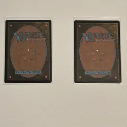 Magic: The Gathering: Appa, Steadfast Guardian w Mountain foil. Mint Condition - Image 2