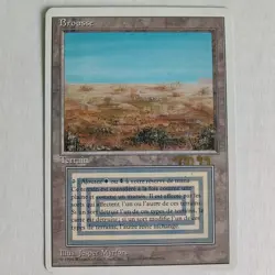 Scrubland (Signed) - French - HP - Foreign White Border FWB - MTG - Image 1
