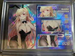 WES - Senpai Goddess Haven Series #5 ECG Set 9 Cards! Goddess Story Bikini OOP - Image 3