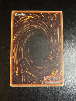 CURSE OF DRAGON - LOB-066 - Super Rare - (PLD) - Image 2