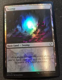 Swamp - Foil - AFR - MTG - EN - NM - 270/281 - Image 1